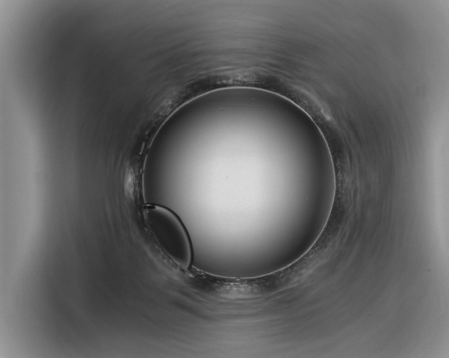 X0000116390123200912091442