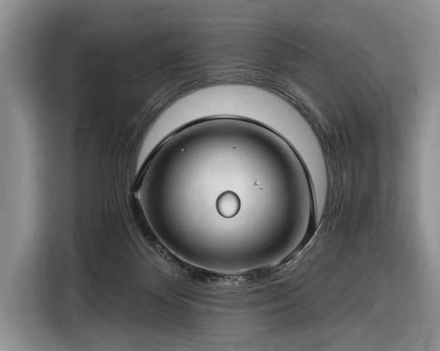 X0000116390124200912091442