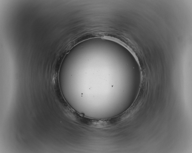 X0000116390125200912091442