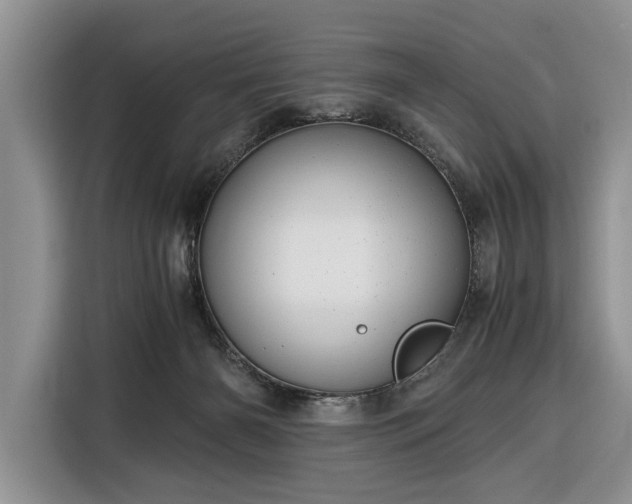 X0000116390126200912091442