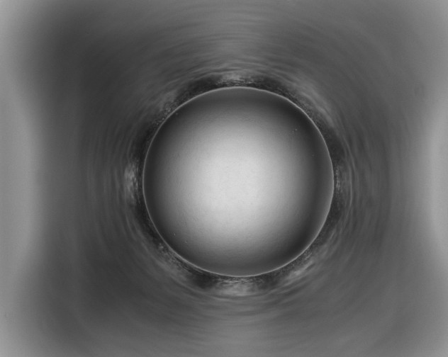 X0000116390127200912091442