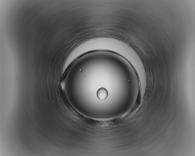 X0000116390128200912091442