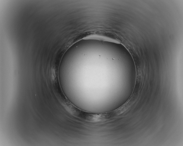 X0000116390130200912091442