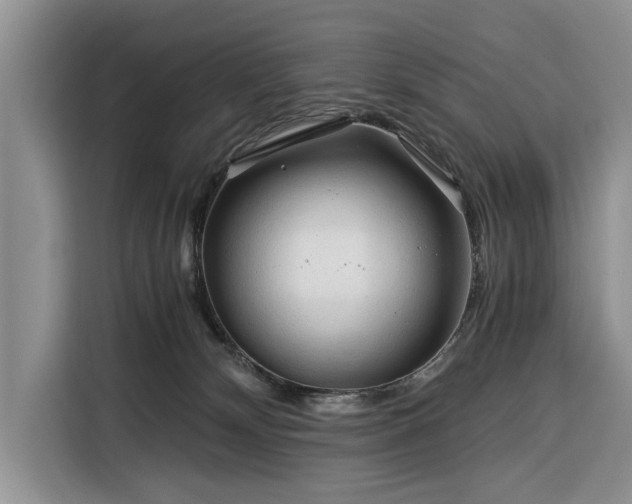 X0000116390132200912091442