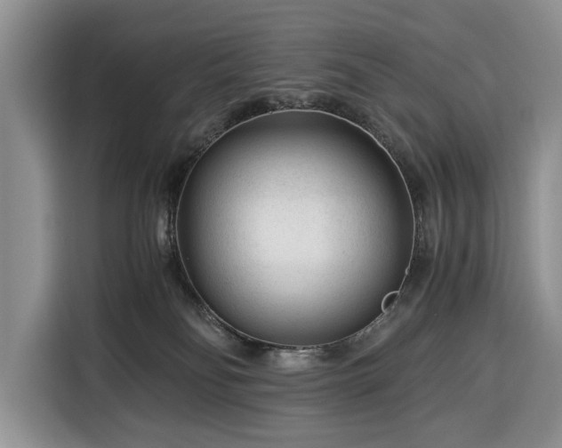 X0000116390134200912091442