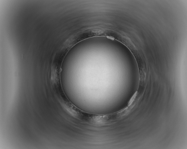 X0000116390136200912091442