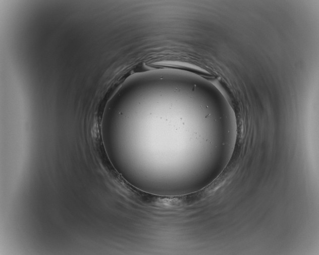 X0000116390137200912091442