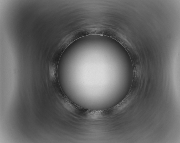 X0000116390138200912091442