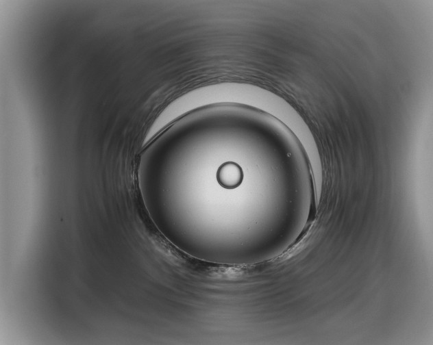 X0000116390140200912091442
