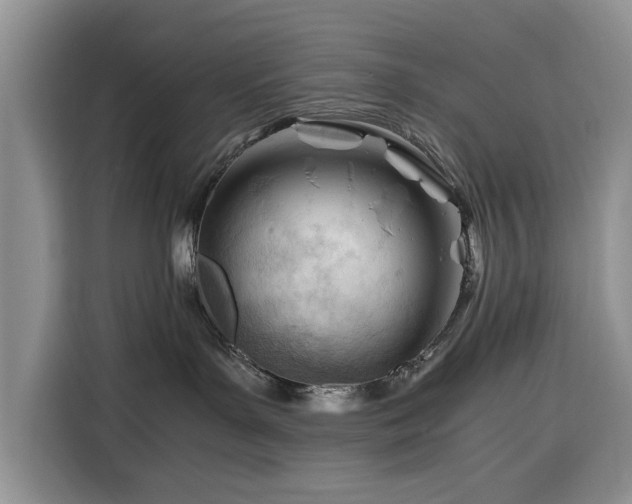 X0000116390143200912091442