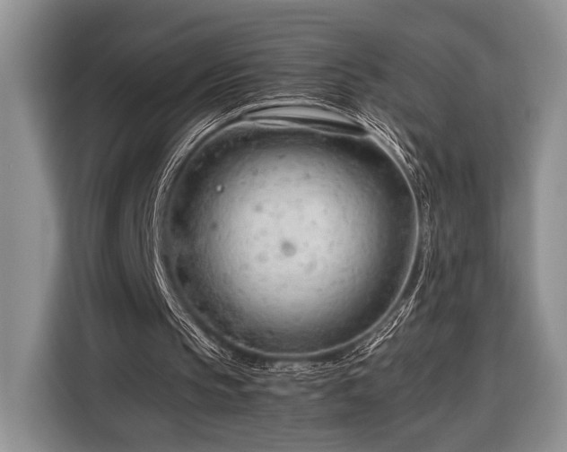X0000116390145200912091441