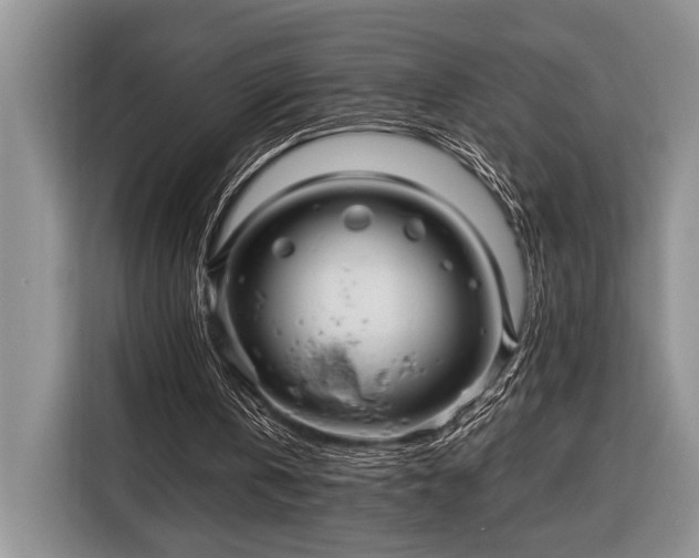 X0000116390146200912091441