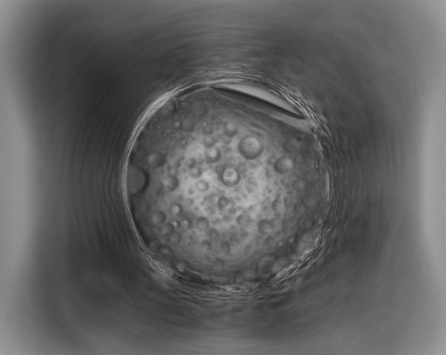 X0000116390147200912091441