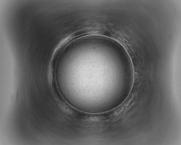 X0000116390149200912091441