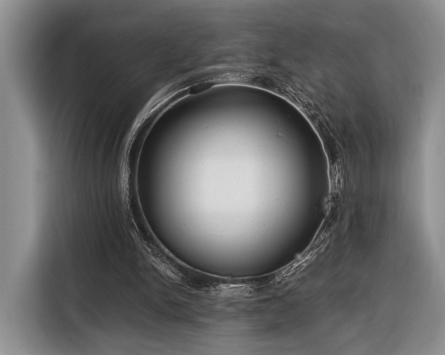 X0000116390150200912091441