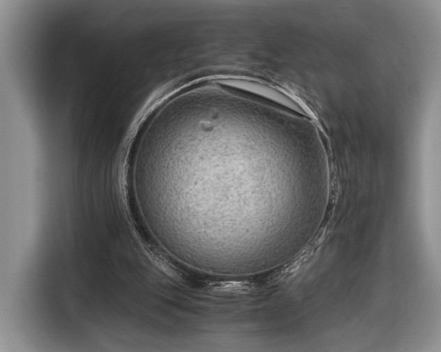 X0000116390151200912091441