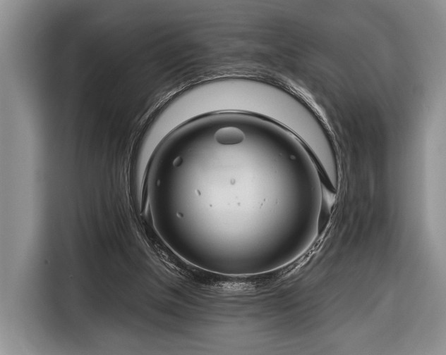 X0000116390154200912091441
