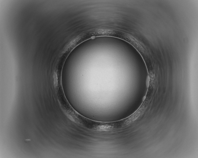 X0000116390158200912091441
