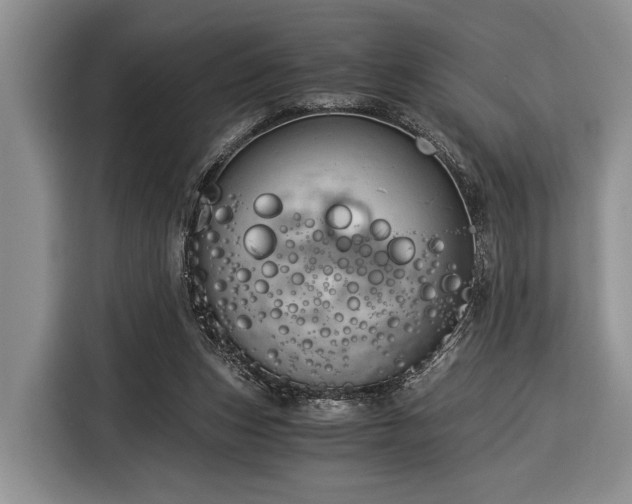 X0000116390159200912091441