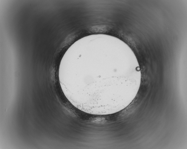 X0000116390162200912091441