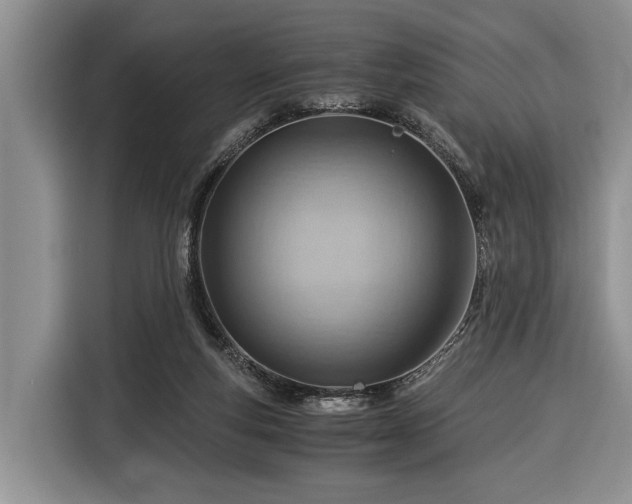 X0000116390163200912091441