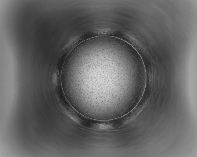 X0000116390165200912091442
