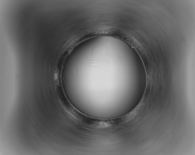 X0000116390166200912091442