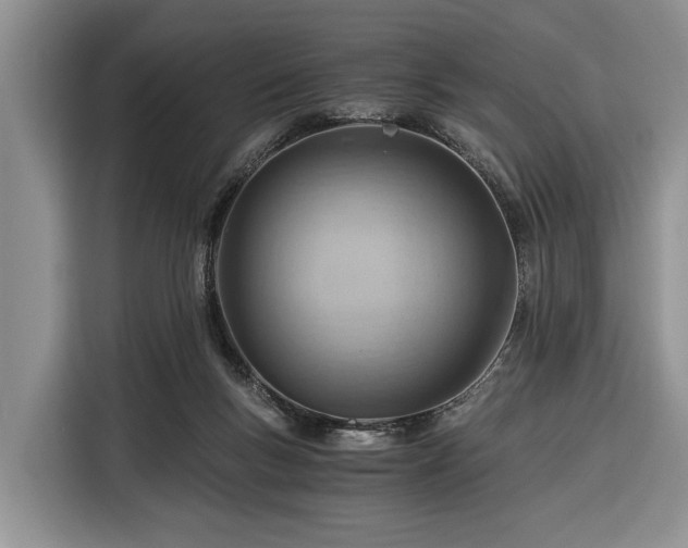 X0000116390167200912091442