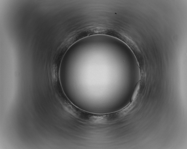 X0000116390170200912091442