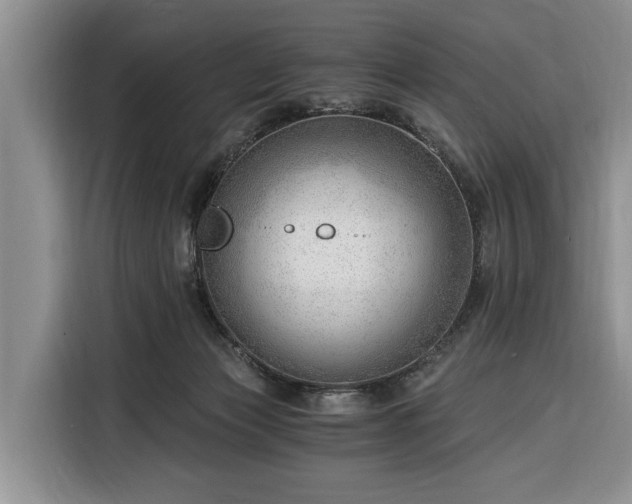 X0000116390173200912091442