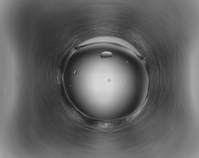 X0000116390174200912091442