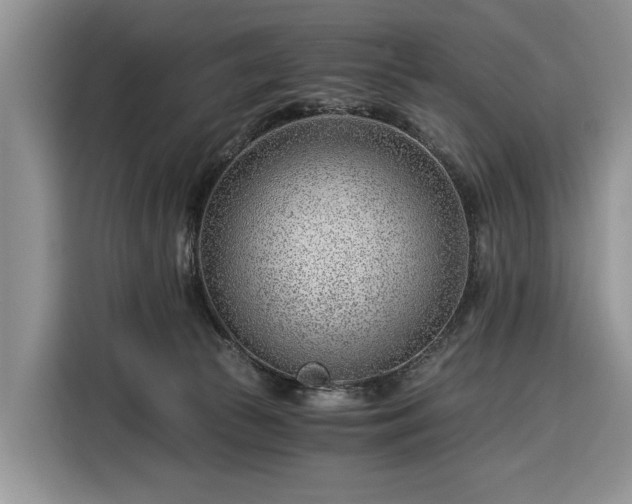 X0000116390177200912091442