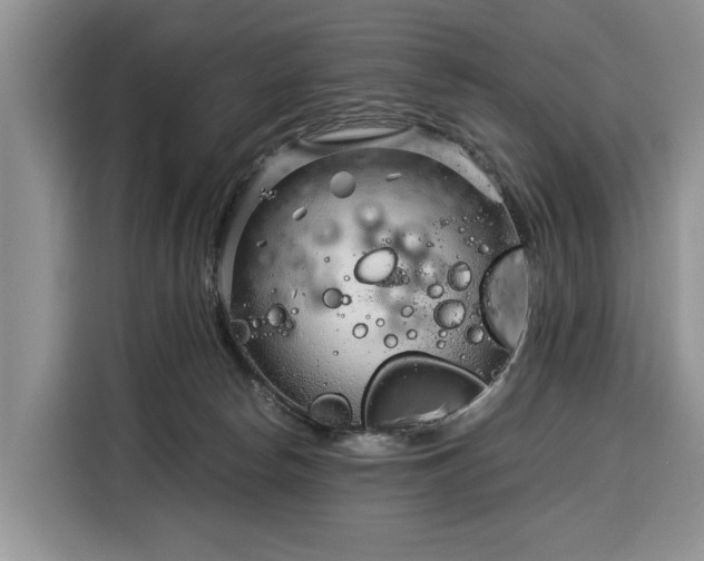 X0000116390178200912091442
