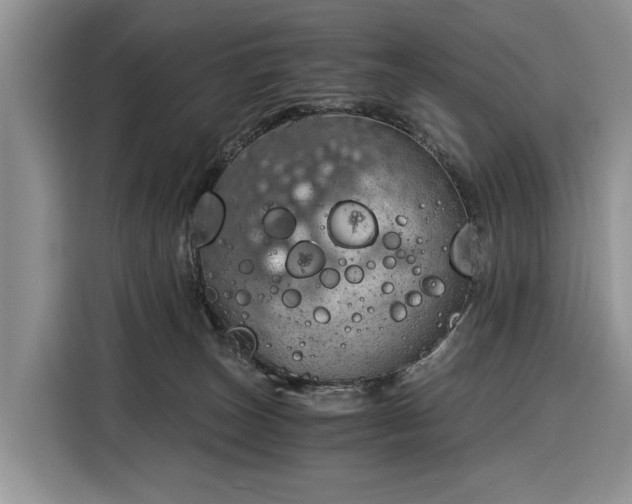 X0000116390179200912091442