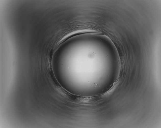 X0000116390182200912091442