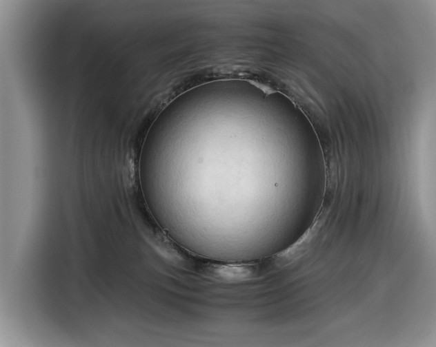 X0000116390183200912091442