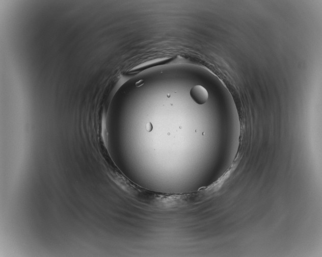 X0000116390186200912091442