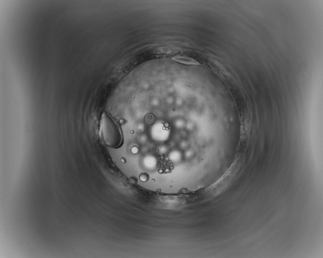 X0000116390187200912091442