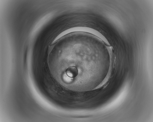 X0000116390191200912091442