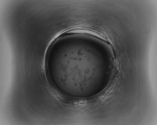 X0000116390196200912091441