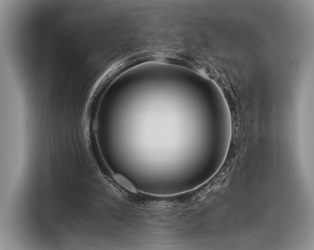 X0000116390197200912091441