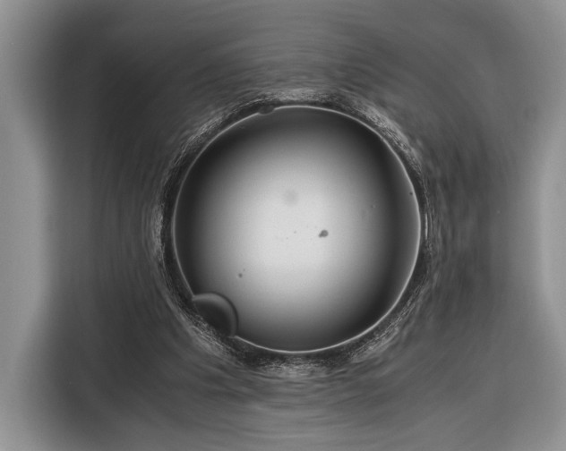 X0000116390201200912091441