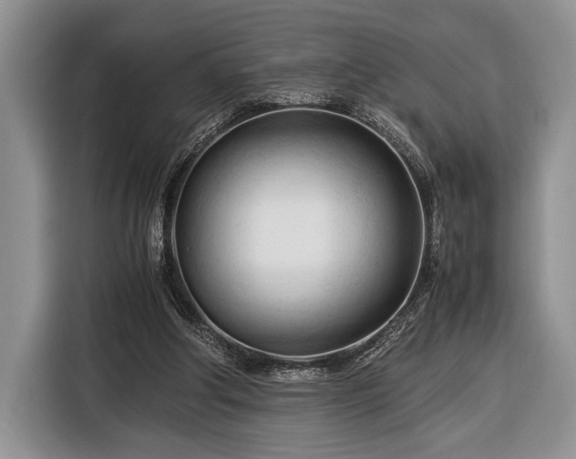X0000116390202200912091441