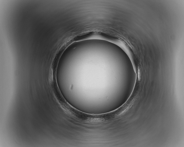 X0000116390205200912091441