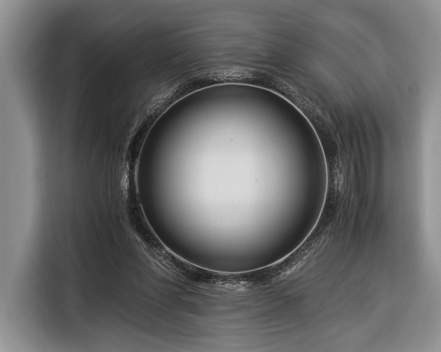 X0000116390206200912091441