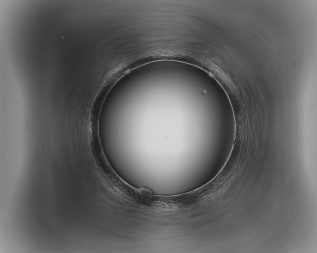 X0000116390207200912091441