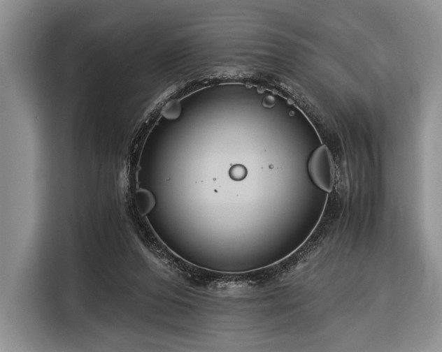 X0000116390208200912091441