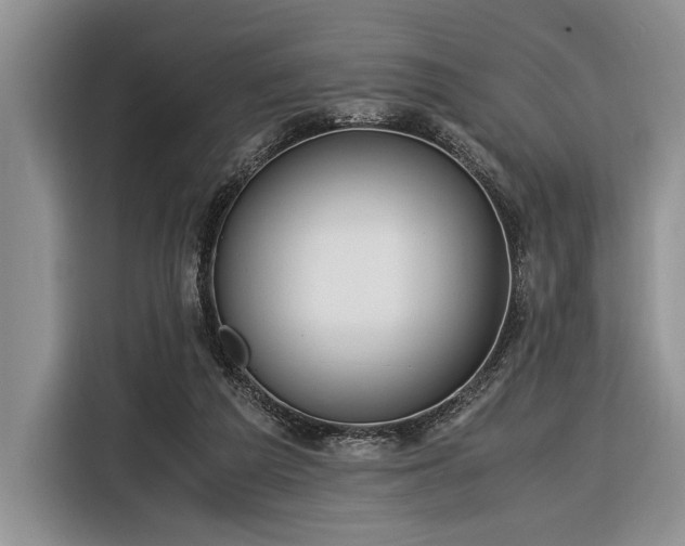 X0000116390209200912091441