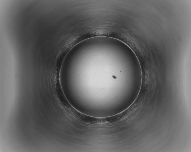 X0000116390210200912091441