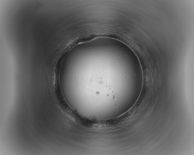 X0000116390211200912091441